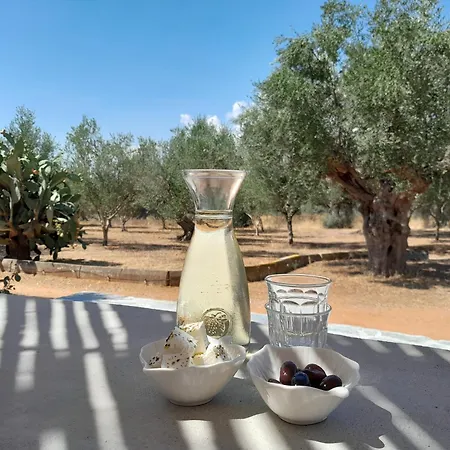 Sunsets And Olive Trees Messíni