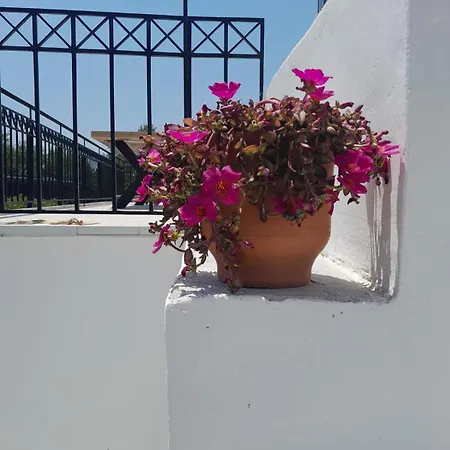 Sunsets And Olive Trees Πανσιόν