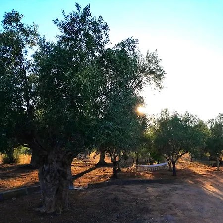 Sunsets And Olive Trees 4* Messini
