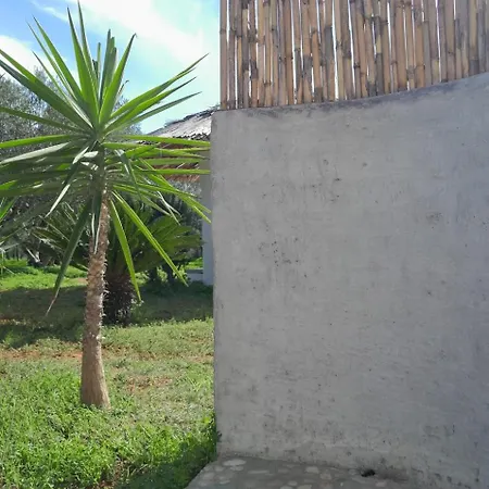 Sunsets And Olive Trees 4* Μεσσήνη