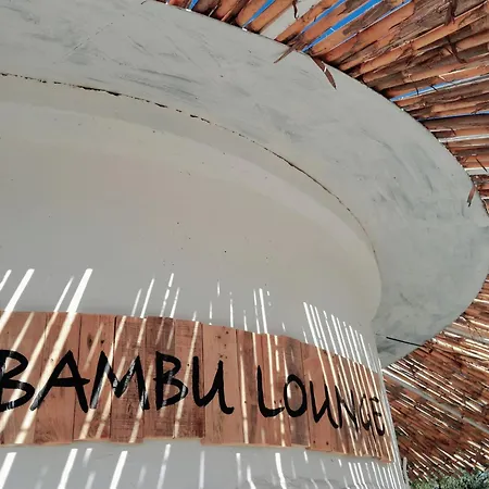 Sunsets And Olive Trees Messíni