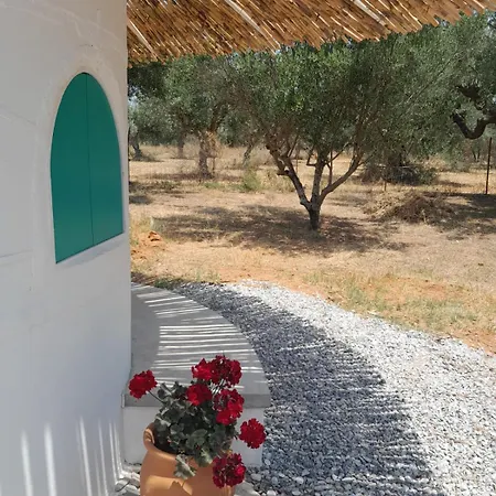 Guest house Sunsets And Olive Trees 4*