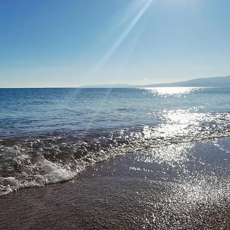 Sunsets And Olive Trees