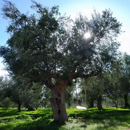 Gæstehus Sunsets And Olive Trees 4*