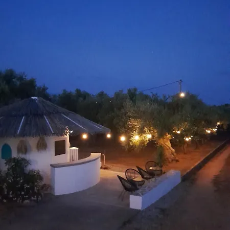 Sunsets And Olive Trees 4*