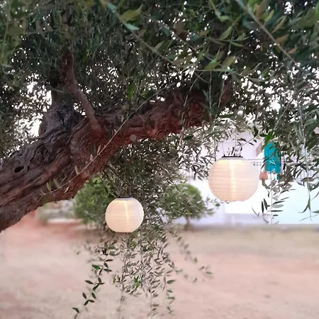 Sunsets And Olive Trees 4* Messíni