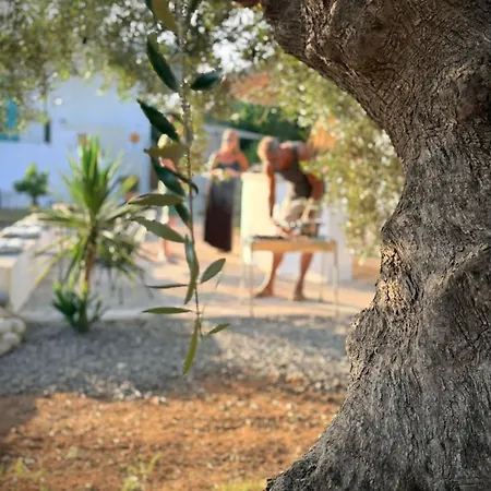 Sunsets And Olive Trees 게스트하우스 Messíni