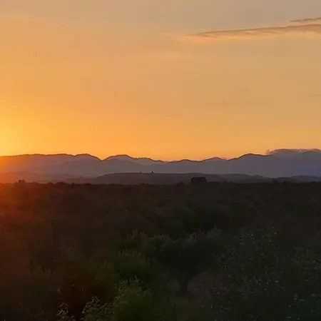 Sunsets And Olive Trees 게스트하우스 4*