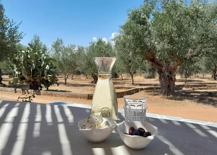 Sunsets And Olive Trees Messíni