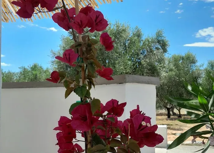 Sunsets And Olive Trees 게스트하우스 Messíni