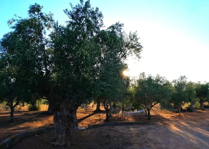 Sunsets And Olive Trees 4* Messíni