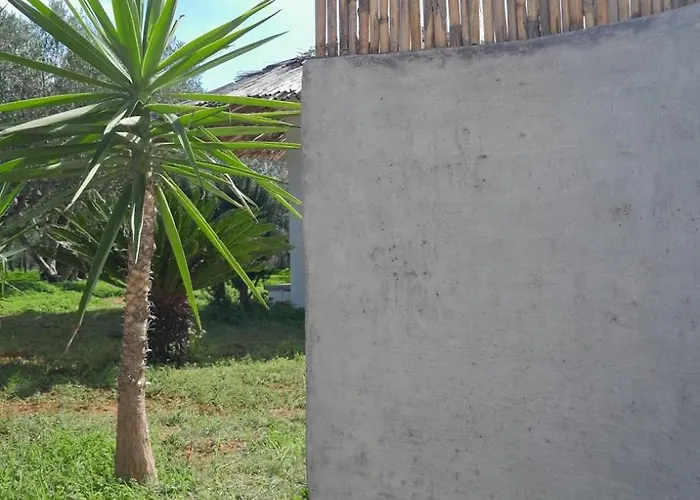 Sunsets And Olive Trees 4* Messíni