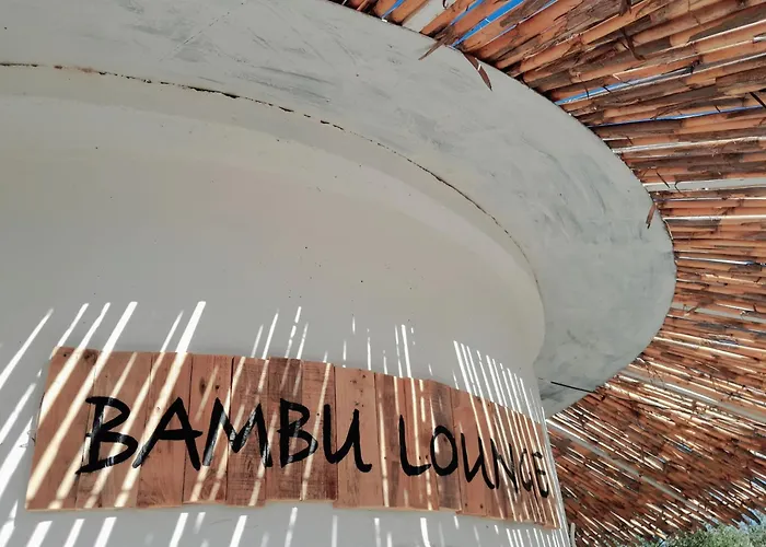 Sunsets And Olive Trees Messíni