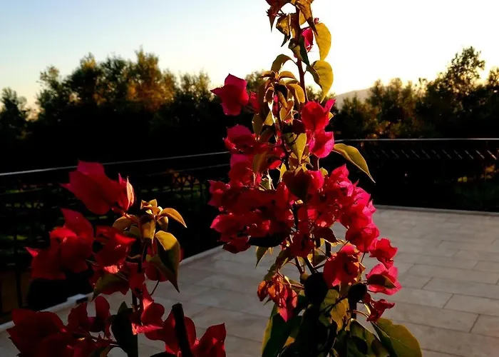 Sunsets And Olive Trees Gasthuis 4*