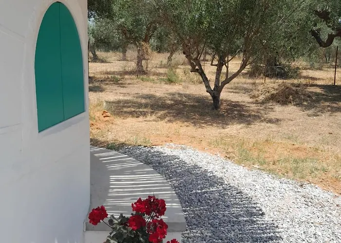 Gasthuis Sunsets And Olive Trees 4*