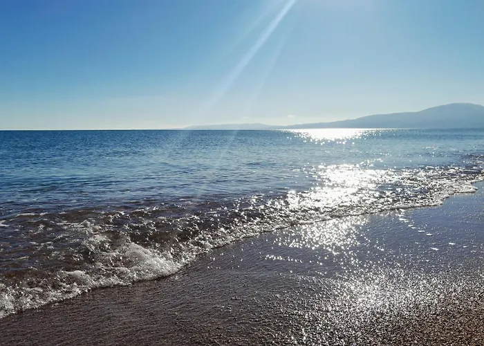 Sunsets And Olive Trees